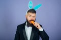Happy easter day. Bunny rabbit man eat carrot. Cute bunny wear formal suit or tuxedo. Celebrating easter. Office party Royalty Free Stock Photo