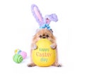 Happy Easter day Cute puppies Pomeranian Mixed breed Pekingese dog Wear bunny ears sitting hugging eggs shape pillow isolated on