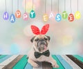 Happy Easter day's post card with cute dog pug wearing rabbit bunny ears