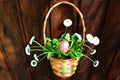 Happy easter decoration on a door Royalty Free Stock Photo