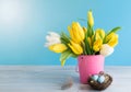 Happy Easter. Decorative easter eggs in bird nest and bouquet of yellow tulips in bucket on blue background. Concept: beautiful Royalty Free Stock Photo