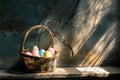 Happy easter Denim blue Eggs Easter egg candles Basket. White matte wallpaper Bunny garden furniture. Easter tradition background Royalty Free Stock Photo