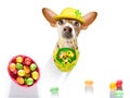 Happy easter dog with eggs Royalty Free Stock Photo