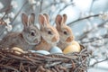 Happy easter easter basket fillers Eggs Lilacs Basket. White roses Bunny ar. Colorful background wallpaper