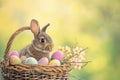 Happy easter easter card Eggs Easter art Basket. White pansy Bunny Chick. Easter egg lights background wallpaper Royalty Free Stock Photo