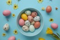 Happy easter easter columbine Eggs Rebirth Basket. White easter egg roll Bunny al fresco. egg hunt background wallpaper