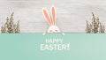 Happy Easter. Easter Rabbit Bunny standing behind a blank sign, showing on big sign. Smiling Cute, funny cartoon rabbit Royalty Free Stock Photo