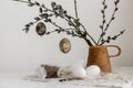 Happy Easter! Easter rustic still life. Natural eggs, feathers, nest, willow branches in vase on aged wooden table. Simple stylish Royalty Free Stock Photo