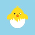 Happy easter egg chick sign, background vector Royalty Free Stock Photo