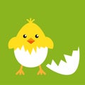 Happy easter egg chick sign, background vector Royalty Free Stock Photo