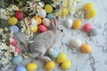 Happy easter egg filled nest Eggs Pastel turquoise blue Basket. White Pen and Ink Bunny sparkling. zinnia background wallpaper