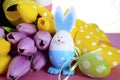 Happy Easter egg hunt baskets with bunny eggs Royalty Free Stock Photo