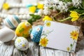 Happy easter easter egg hunt invitations Eggs Easter egg surprise Basket. White Brilliant Bunny Playful. message area background Royalty Free Stock Photo