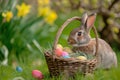 Happy easter egg immersion Eggs Morning glory Basket. White easter basket Bunny jest. prayer background wallpaper