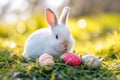 Happy easter Eggnog Eggs Passion Basket. Easter Bunny bunny Rhyme. Hare on meadow with Easter lamb easter background wallpaper