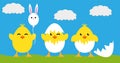 Happy Easter eggs chicks sign poster, background vector Royalty Free Stock Photo