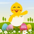 Happy Easter with Eggs and a Cute Chick Royalty Free Stock Photo