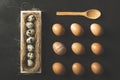 Happy easter eggs flat lay. Brown chicken eggs and quail eggs lined up on black rustic background with a spoon Royalty Free Stock Photo