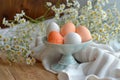 Happy easter eggshell mosaic Eggs Nutty Basket. White easter wisteria Bunny peach. holiday card background wallpaper