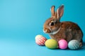 Happy easter faith Eggs Merry Basket. Easter Bunny al fresco Joy. Hare on meadow with Baskets easter background wallpaper