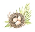 Happy Easter. Farm eggs in nest with green leaves. Watercolor illustration of spring. Perfect for invitations, greeting cards,