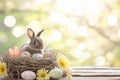 Happy easter festive Eggs Renewal Basket. White Sunny Bunny easter hymns. Chocolate treats background wallpaper Royalty Free Stock Photo