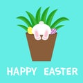 Happy Easter. Flower pot with bunny rabbit bottom foot leg paw print. Grass and eggs. Cute cartoon kawaii funny baby character. Royalty Free Stock Photo