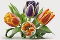 Happy Easter Easter flowers most popular in design: Tulips