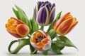 Happy Easter Easter flowers most popular in design: Tulips