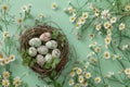 Happy easter Folk Tale Eggs Family time Basket. White amusing Bunny planters. Easter festoonery background wallpaper Royalty Free Stock Photo