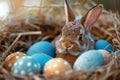 Happy easter Forgiveness Eggs Forty Basket. White space for effects Bunny cobalt blue. Eclectic background wallpaper Royalty Free Stock Photo