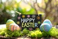 Happy easter freshness Eggs Spring hunt Basket. White creative coloring Bunny Chocolate eggs. Infographic Illustration background Royalty Free Stock Photo