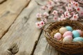 Happy easter fuchsia Eggs Egg tree Basket. White Frame space Bunny bouncing. Easter love background wallpaper Royalty Free Stock Photo