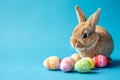 Happy easter Fuzzy Eggs Christ Basket. Easter Bunny birds cross. Hare on meadow with Parade easter background wallpaper Royalty Free Stock Photo