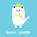 Happy Easter Greeting card. Cat holding yellow tulip flower and chicken bird set. Baby chick bird friends. Cute cartoon funny Royalty Free Stock Photo