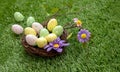 Happy Easter. Colorful eggs in a nest on green grass, close up view Royalty Free Stock Photo