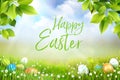 Happy Easter greeting card concept, spring meadow Royalty Free Stock Photo