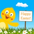 Happy Easter Greeting Card with Cute Chick Royalty Free Stock Photo