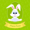 Happy Easter greeting card with eggs background and rabbit. White cute Easter Bunny peeking out of a hole. Royalty Free Stock Photo