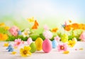 Happy Easter greeting card. Easter eggs and spring flowers on table for decoration home for Easter Royalty Free Stock Photo