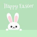 Happy Easter Bunny greeting card