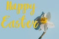 Happy Easter greeting card. Happy Easter text on beautiful daffodil in sunlight flat lay on blue background. Modern Greeting card Royalty Free Stock Photo