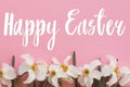 Happy Easter greeting card. Happy Easter text sign handwritten on  beautiful white daffodils flowers border on stylish pink Royalty Free Stock Photo