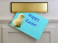 Happy Easter Greetings Card - Chick on blue background Royalty Free Stock Photo