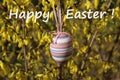 Happy easter greetings with an easteregg in the forsythia