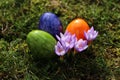 Happy easter greetings with eastereggs and crocuses