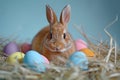 Happy easter Groundcover bloom Eggs Fun Basket. White sharing love Bunny easter sunflower. Red Petunia background wallpaper Royalty Free Stock Photo