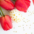 Happy Easter. Handpainted egg with gold dots and red tulips against of small stars on white background. Greeting card