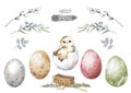 Happy easter hatching chick with set egg, willow stick. Hand painting illustration for design