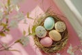 Happy easter hellebores Eggs Easter ornament Basket. White easter flower pot Bunny Family time. Easter sunrise background